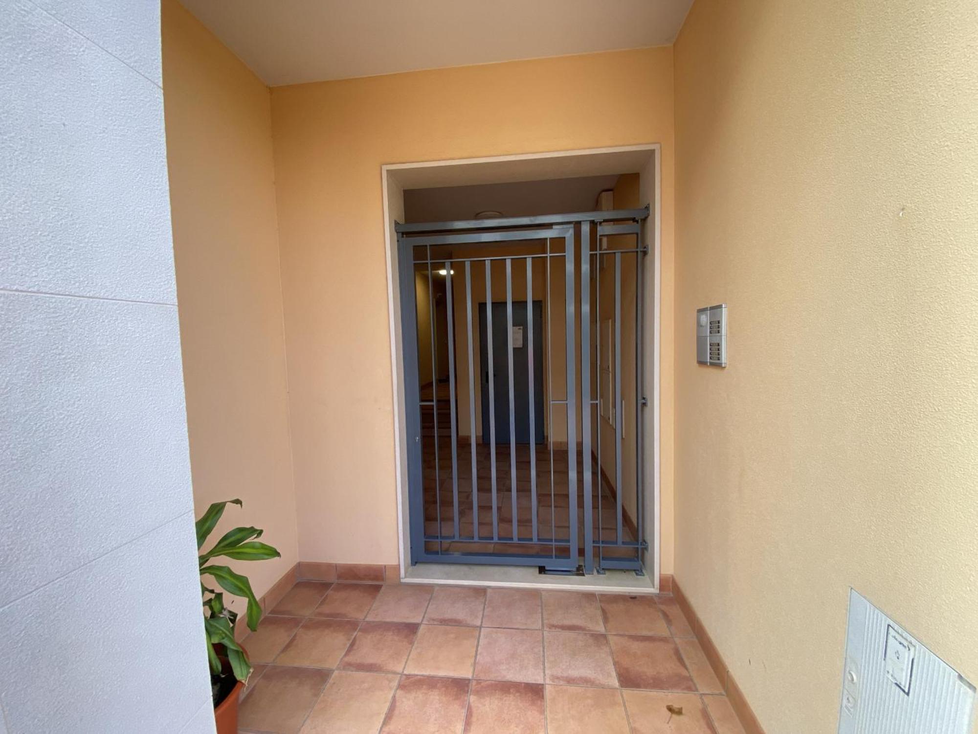 Albufeira Sunny Style With Pool By Homing Apartman Kültér fotó